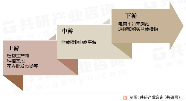 盆栽植物电商行业产业链