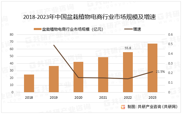 2018-2023年中国盆栽植物电商行业市场规模及增速