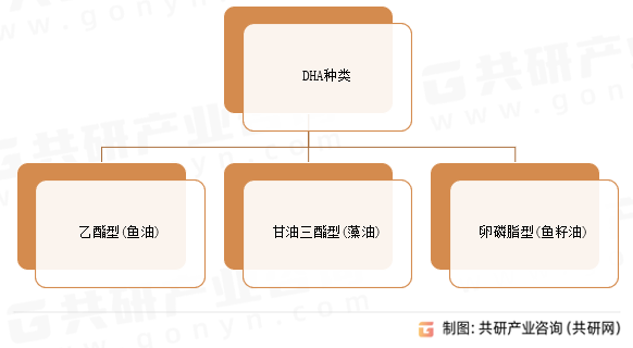 DHA种类