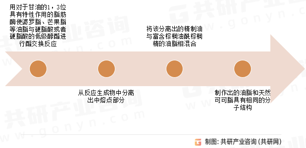类可可脂工艺