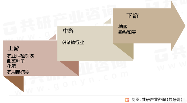 甜菜糖行业产业链