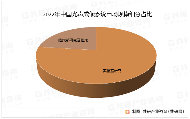 2022年中国光声成像系统市场规模细分占比