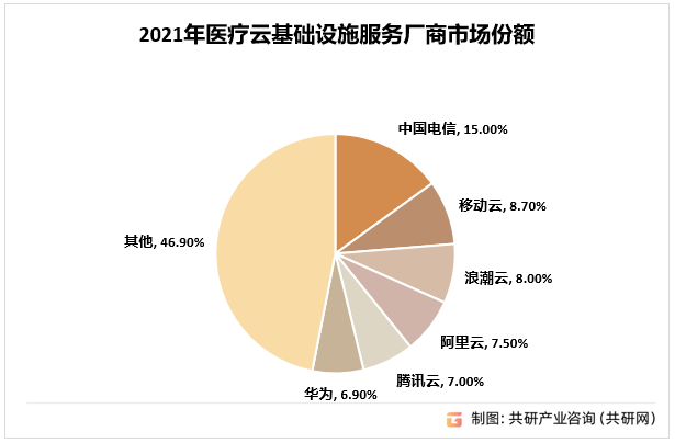 2021年中国医疗云基础设施服务的主要厂商市场份额