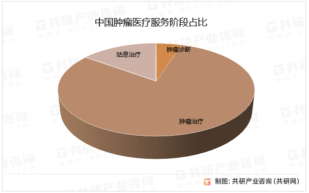 中国肿瘤医疗服务阶段占比