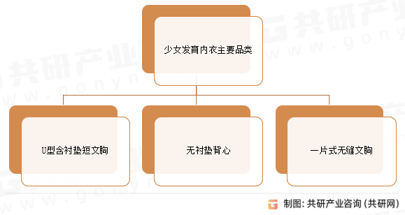 少女发育内衣主要品类