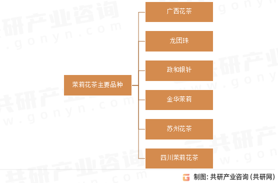 茉莉花茶主要品种