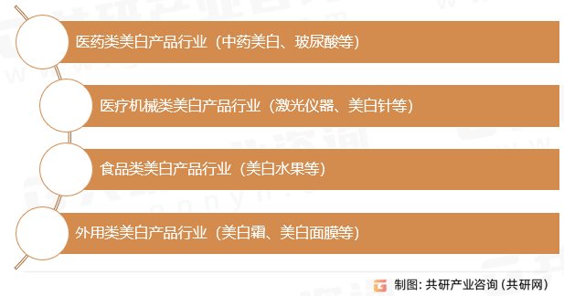 美白行业分类
