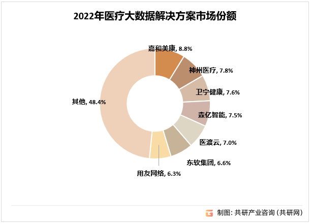 2022年医疗大数据解决方案市场份额