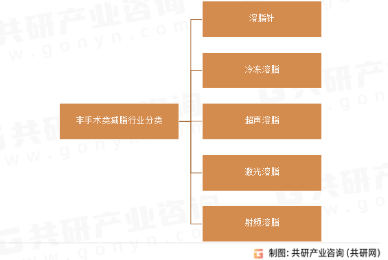 非手术类减脂行业分类