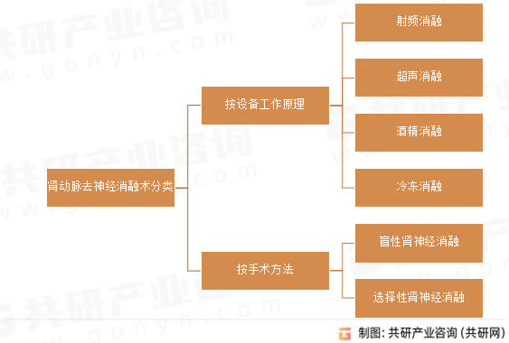 肾动脉去神经消融术分类