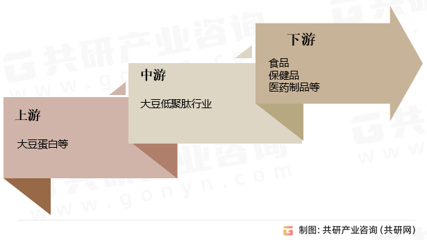 大豆低聚肽行业产业链