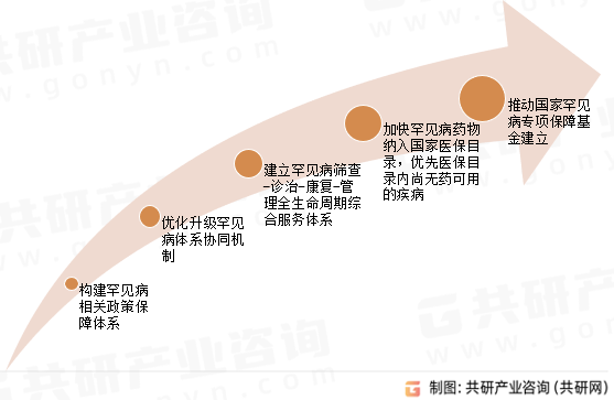 中国罕见病综合服务发展展望