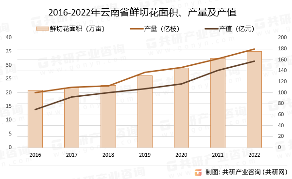 2016-2022年云南省鲜切花面积、产量及产值