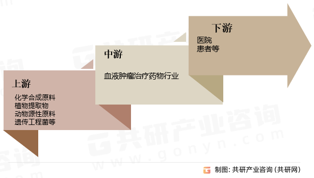 血液肿瘤治疗药物行业产业链