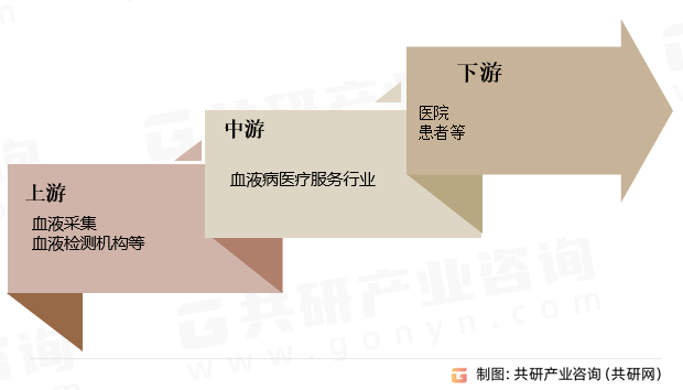 血液病医疗服务行业产业链