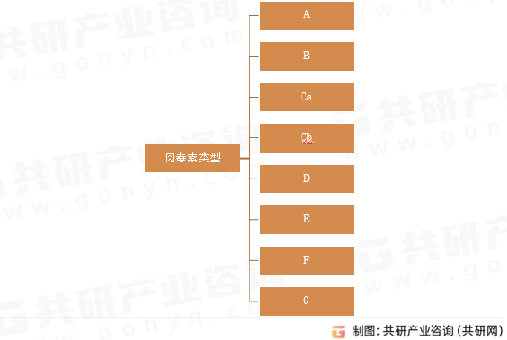 肉毒素类型