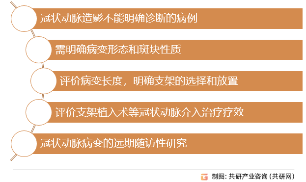 血管类超声(IVUS)主要应用诊断