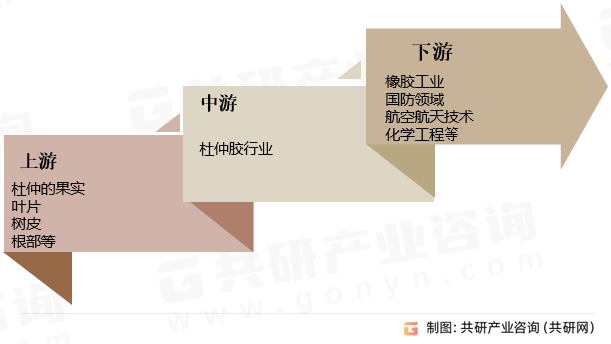 杜仲胶行业产业链