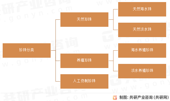 珍珠分类