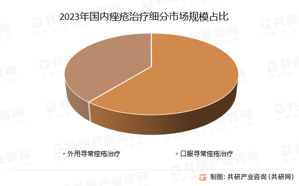 2023年国内痤疮治疗细分市场规模占比