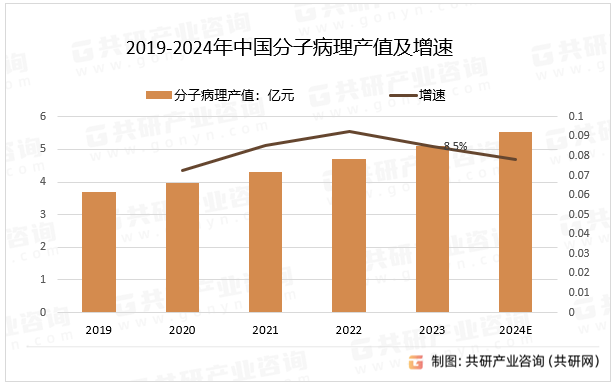 2019-2024年中国分子病理产值及增速