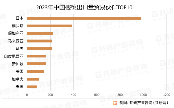 2023йӣҳó׻TOP10