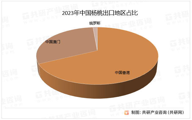 2023年中国杨桃出口地区占比