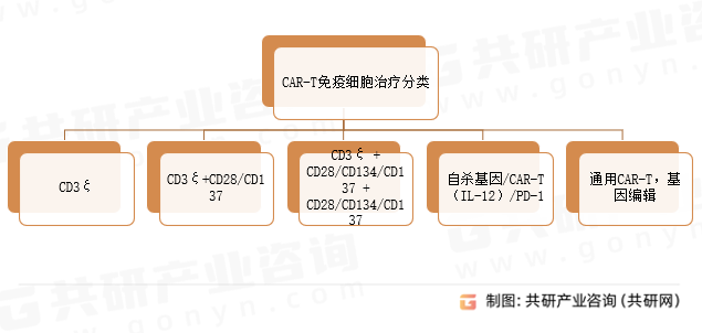 CAR-T免疫细胞治疗分类