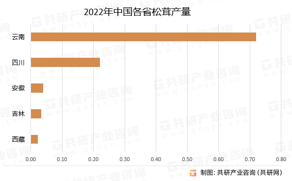 2022年中国各省松茸产量