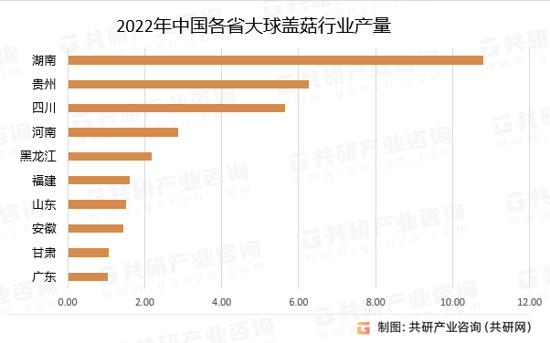 2022年中国各省大球盖菇行业产量