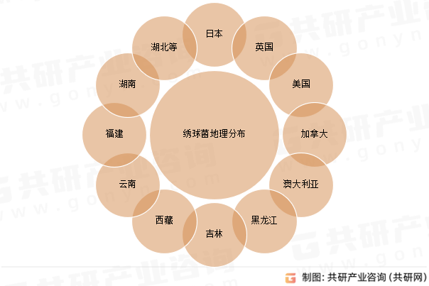 绣球菌地理分布