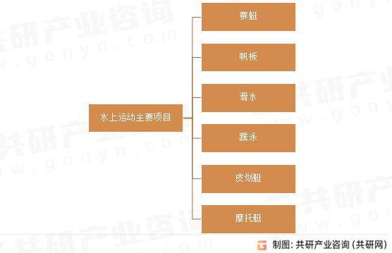 水上运动主要项目