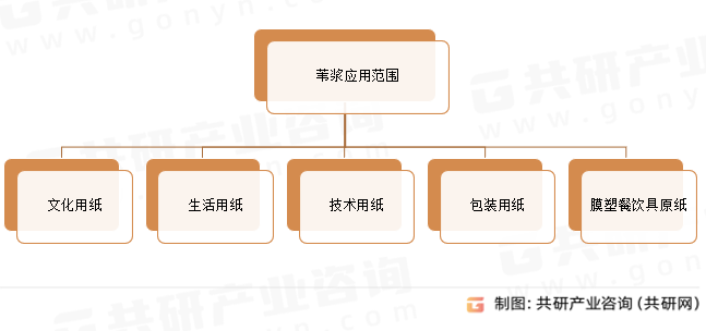 苇浆应用范围