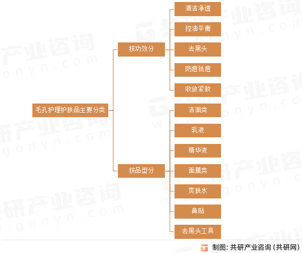 毛孔護(hù)理護(hù)膚品主要分類(lèi)