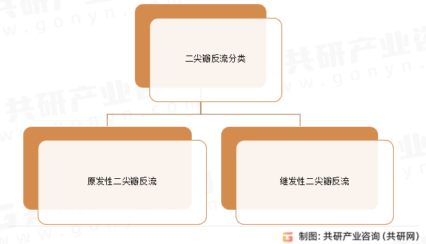 二尖瓣反流分类