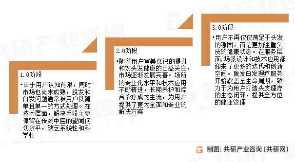 脱发白发理疗发展历程
