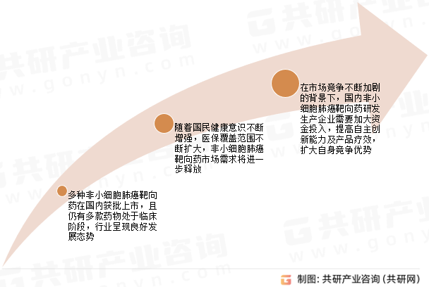 非小细胞肺癌靶向治疗行业发展前景