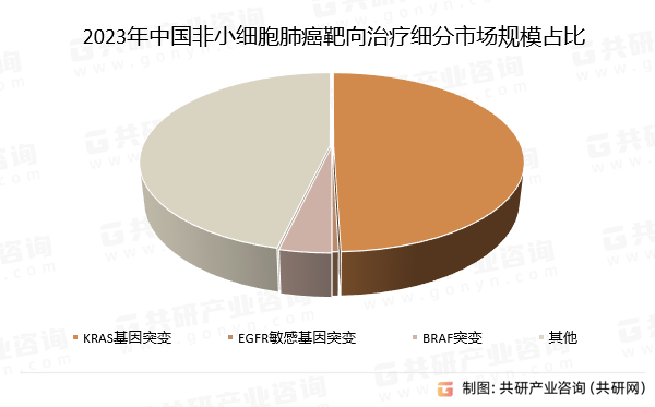 2023年中国非小细胞肺癌靶向治疗细分市场规模占比