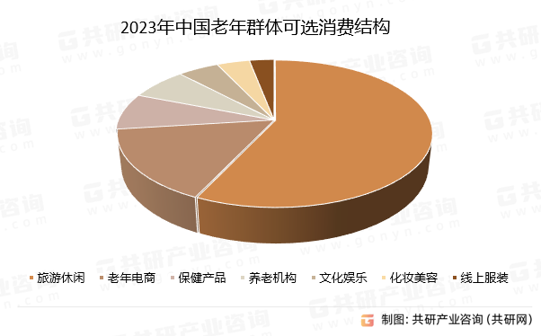 2023年中国老年群体可选消费结构