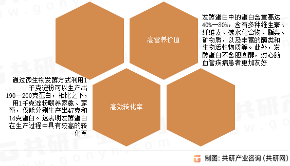 发酵蛋白营养成分与特点