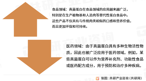 真菌蛋白的应用领域