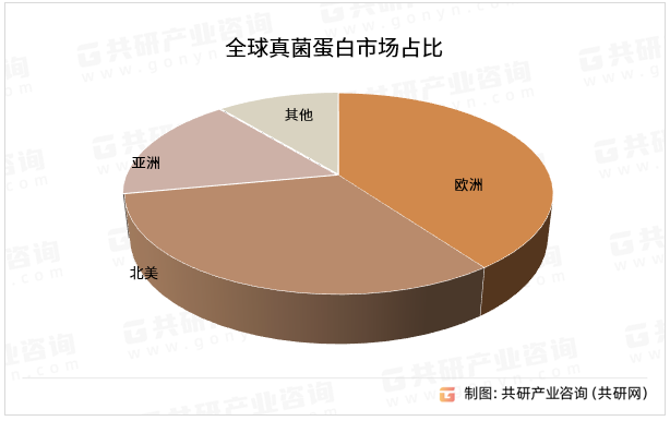 全球真菌蛋白市场占比