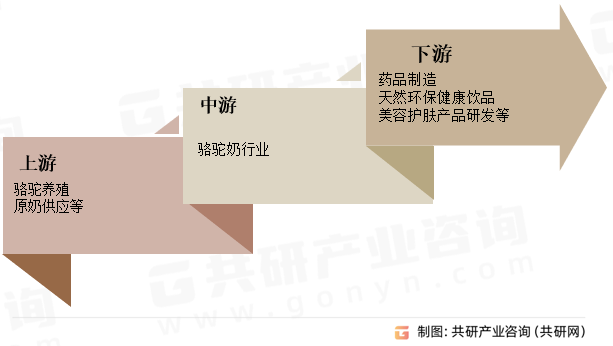 骆驼奶行业产业链
