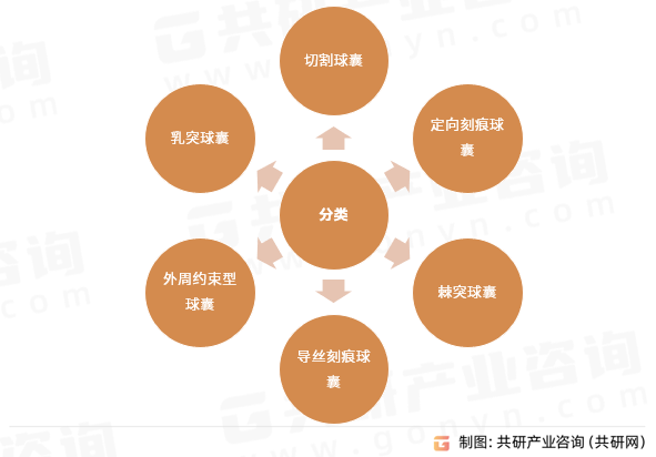 特殊球囊类型