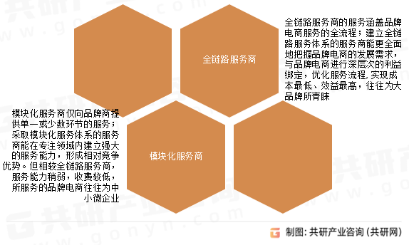品牌电商服务商分类