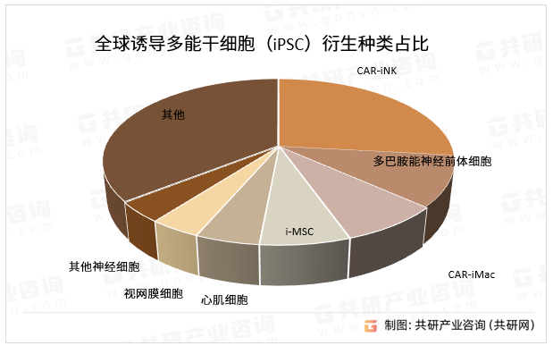 全球诱导多能干细胞（iPSC）衍生种类占比