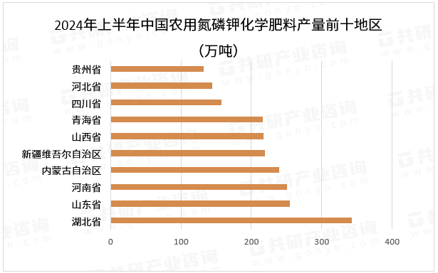 2024年上半年中国农用氮磷钾化学肥料产量前十地区