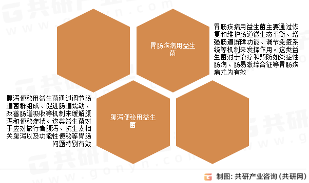 胃肠功能调节益生菌行业分类