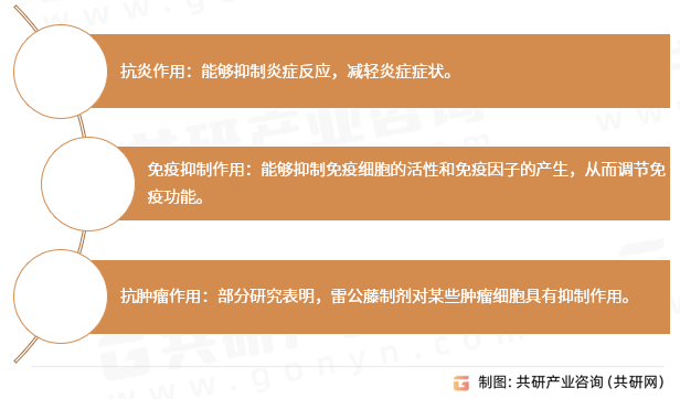雷公藤制剂药理作用
