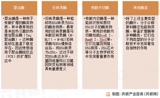 分子诊断原料酶主要类型
